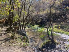 -玉渡山自然风景区