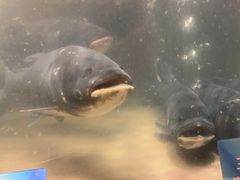 -上名堂·鱼头好吃(体育场路店)