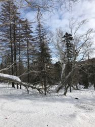 -大秃顶子山
