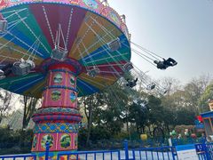 -南湖梦幻岛