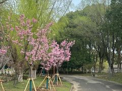 -梁鸿国家湿地公园