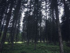 -硗碛藏寨·神木垒景区