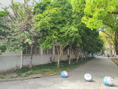 -上海大学(嘉定校区)