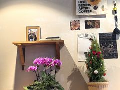 -参差咖啡(水果湖公园店)