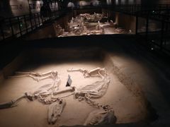 -洛阳周王城天子驾六博物馆