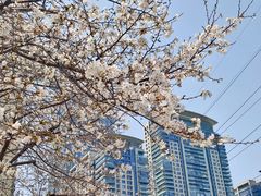 -西北湖绿化广场