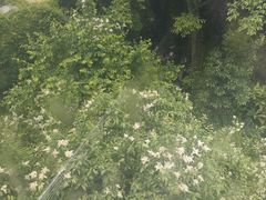 -黔灵山公园