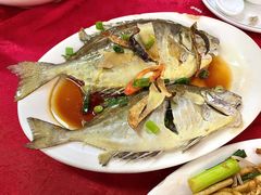 -蛇口康乐快餐鱼仔档(翠苑小区店)