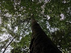 -龙苍沟森林公园