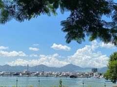 -希尔顿南海酒店·观廊大堂吧·海景下午茶