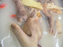 -渔鸽皇酒楼(鸿大广场店)