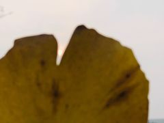 -两江幸福广场