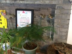 -狐狸家·酸奶酪专门店(平江路店)