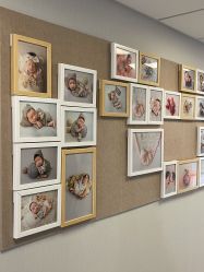 -杭州贝瑞斯美华妇儿医院·早孕·产检·儿科