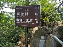 -紫金山山顶公园