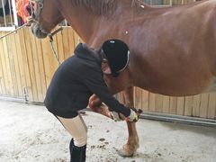 -月河湾马术俱乐部(朝阳店)