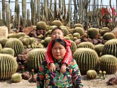 -南通洲际绿博园