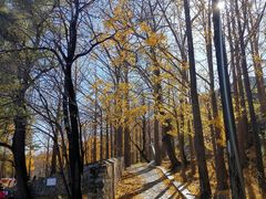 -阳台山自然风景区