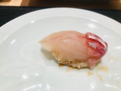 -鲤·鮨KOISUSHI
