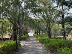 -元江连续刚构世界第一高桥景区