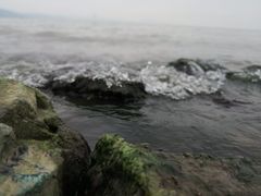 -上海市保健医疗中心(华东疗养院)