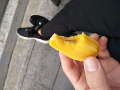 -三亚新鸿港水果一级批发市场