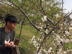-自然谷恐龙园