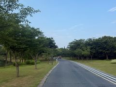 -尚贤河湿地