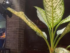 -798餐厅(任丘路店)