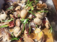辣炒青岛花蛤-必点海鲜·鲅鱼水饺(鞍山西道店)