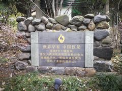 -张家港金凤凰度假村温泉