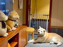 -大江户·温泉洗浴(浑南店)