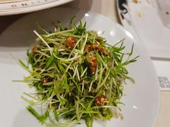 -旺顺阁·北京菜(北辰上品+)