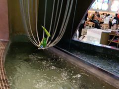 -云海肴云南菜·蒸汽石锅鱼(青岛万象城店)