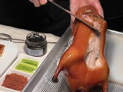 -聚宾楼·烤鸭·家宴(科技三路店)