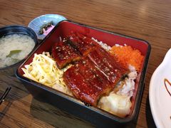 -Hatsune隐泉日式料理(三里屯太古里店)