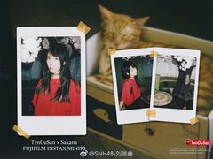 -猫猫幼稚园·撸猫·桌游·电玩