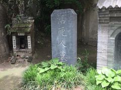 -活死人墓