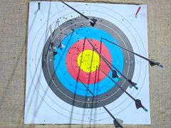 -蓝天射箭馆·专业射箭运动(诚丰广场店)