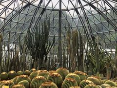 -深圳仙湖植物园-停车场