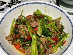 -壹盏灯(惠农店)