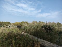 -百脉泉景区