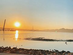-深圳湾公园(南山区)