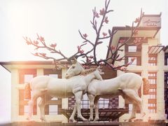 -鹭江潮餐厅•福建菜(鹭江佲家酒店)