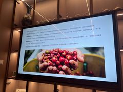 -sugarman espresso素饮糖人高新咖啡工厂