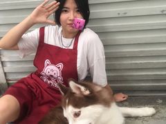 -星多哈·狗咖·拼豆·咖啡