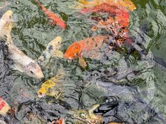 -吴作人艺术馆