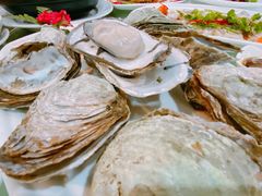 -南庄酒家·海鲜粤菜·25年老字号(环城南路店)