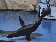 -泉州海丝野生动物世界