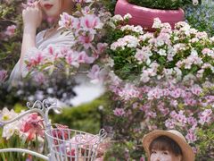 -上海鲜花港